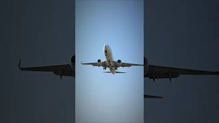 Very Close ✈️ Landing 🛬 Oman Airlines aviation aviationshorts cabincrew airplaneflying [upl. by Virgel]