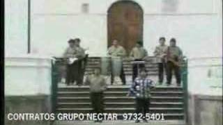 Grupo Nectar  El Arbolito  WWWBATERIAFINAORG [upl. by Restivo855]