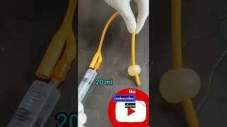 foleys catheter urinaycatheter shortsvideo mbbs nursing [upl. by Aihsas]