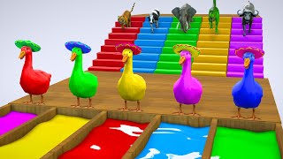 Long Slide Game With Elephant Gorilla Buffalo Hippopotamus Tiger 3d Animal Game Funny 3d Animals 26 [upl. by Juxon827]