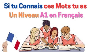 Si tu Connais ces Mots tu as Un Niveau A1 en Français [upl. by Yeniffit948]