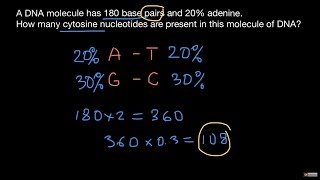 Chargaff’s rule [upl. by Ihel]