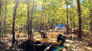 Building A Shabin Tool ShedCabin In The Woods [upl. by Htrow]