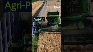 Flächen doppelt nutzen Agri PV shorts landwirtschaft pv [upl. by Enelrad552]