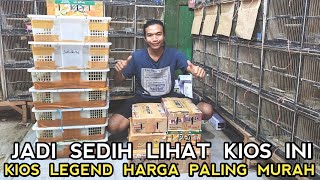 BEGINILAH NASIB KIOS BAJANG MENYEDIHKAN  KIOS BURUNG MURAH PASAR BURUNG PRAMUKA [upl. by Charil]