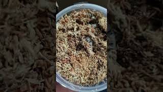 Unboxing Porcellio Laevis quotDairy cowquot isopods from Rossmans [upl. by Leak]