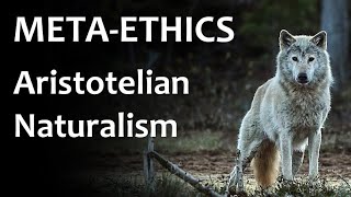 Metaethics  Aristotelian Naturalism [upl. by Ttoille]