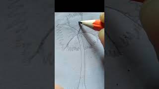 Tal Gas drawning  Palm tree drawing  drawing plamtree talgac [upl. by Fricke]