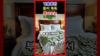 운세 겨울 동안 돈이 계속 들어오는 띠 운세 띠별운세 대박운세 재물운 금전운 겨울 [upl. by Keil]