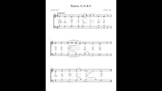 Repose 8 3s amp 6  SATB [upl. by Gnay]