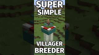 How to make a villager set up  Donut smp  Minecraft [upl. by Matta208]