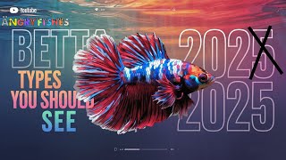 Stunning Betta Fish Types  You Need to SeeBuy in 2025 [upl. by Leahicm]