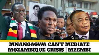 Mzembi Tells Mnangagwa to stay away from Mozambique crisis [upl. by Bernete363]