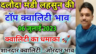 Dalauda mandi best super garlic rate 06 जुलाई 2023 best super garlic super deshi garlic price [upl. by Ribaudo741]