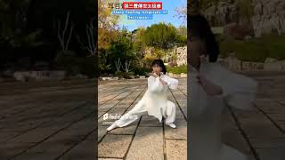 Zhang Sanfengs Handeddown Tai Chi Chuan【張三豐傳世太极拳】 [upl. by James994]