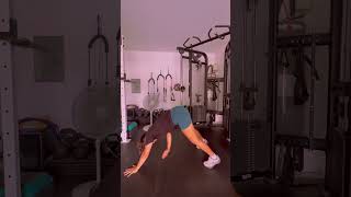 Plank to opposite toe reach [upl. by Asiat]