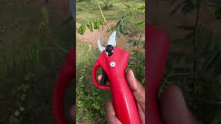 electric scissors easy use save time tool P2033 [upl. by Atteuqihc393]