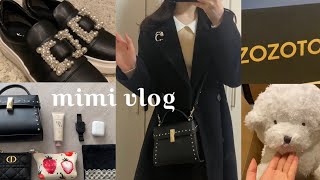 【vlog】お財布👛の紐がゆるい月 購入品🎀 ZOZO TOWN  DIANA セルフォード ジェラートピケ saison de papillon [upl. by Skipton]