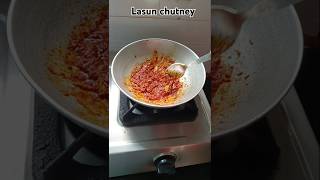 Special lasun chutney 😋🤤😊👍 very tasty recipe 👍🤗👍😋food shots 😋 [upl. by Mailiw]