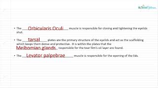 Optician Training The Eyelids Ocular Anatomy Lecture 15 [upl. by Kristy361]