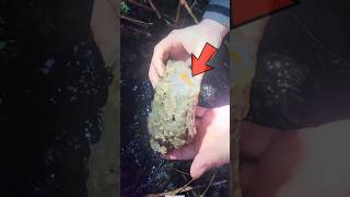 Found crystal stone in river 😱 [upl. by Kcaz]