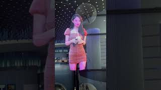 Advertising 3D Hologram Fan Holographic Projector 3D Holographic Display [upl. by Jaymie]