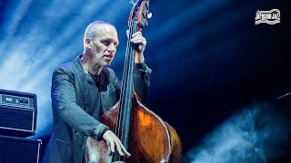 Avishai Cohen Trio  Jarasum Intl Jazz Festival 2017 [upl. by Vasiliki408]