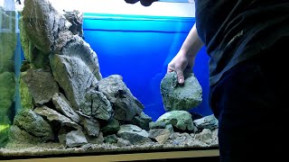 200 liters New Malawi Tank setup  Demasoni amp Interruptus [upl. by Mali122]