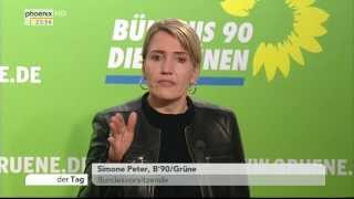 Energiewende Simone Peter Grüne zur EEGUmlage vom 21012014 [upl. by Oriana]