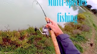 I Tipici Pesci di lago a Ultralight multispecies fishing [upl. by Einaled]