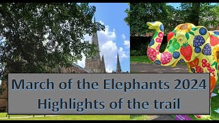 March of the Elephants 2024  trail highlights [upl. by Mahon]