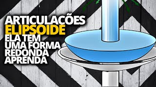 ARTICULAÇÕES ELIPSÓIDE  CARACTERÍSTICAS EXPLICAÇÃO COMPLETA [upl. by Brunelle]