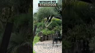 landscape gardendesign poollandscaping backyarddesign gardenlandscaping backyard [upl. by Imot]