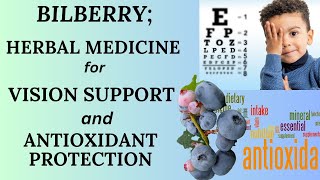 BILBERRY HERBAL MEDICINE FOR VISION SUPPORT amp ANTIOXIDANTS [upl. by Gautea]