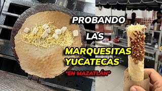 MARQUESITAS YUCATECAS EN MAZATLÁN SINALOA [upl. by Berni]