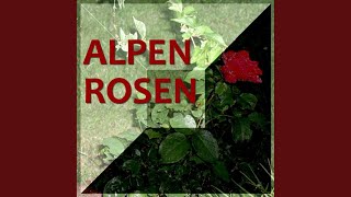 Alpenrosen [upl. by Luciana]