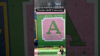 Importance of Greek Fraternities and Sororities  Legacy amp Lifelong Connections  Divine Nine amp NPHC [upl. by Adeline]