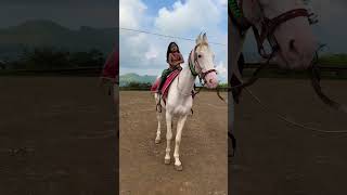 Dhruvi Horse 🐎 Riding  horse horses ghoda horseriding horselover ytvideo shortsfeed dhruhi [upl. by Hazrit]