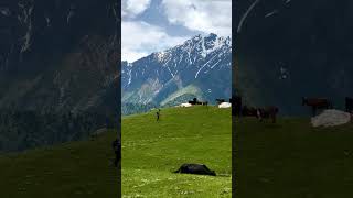 Gilgit Pakistan ♥️ gilgitbaltistan reels fyp shortvlog pakistan youtube music trending like [upl. by Ashbaugh]