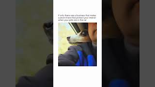 ecolinerusa dogs dogsoftiktok dogsincars cars jdm emplus cargoliners cargomats [upl. by Naerad]