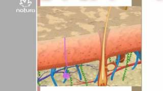 Processo de envelhecimento da pele [upl. by Aldredge]