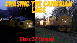 Class 37 Flames Chasing the Aber Logs on the Cambrian Final working [upl. by Roose]