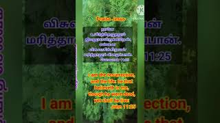 Bible verse tamil Nov 12dailybibleverse todaysgodsverse godswordtodaytodaybiblesverse [upl. by Leidgam]