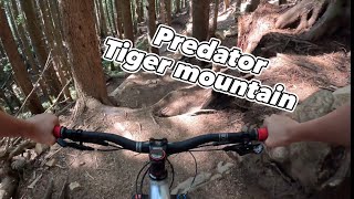 Predator  Tiger mountain MTB 4k [upl. by Kellda]