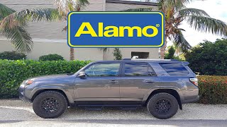 Alamo Car Rental Review Is Alamo Better than Avis Watch and See [upl. by Anagrom865]