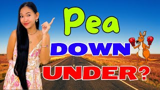 Is The Filipina Pea Going Down Under [upl. by Assenaj]