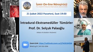 İON 209 Lecture Palaoğlu İntradural Ekstramedüller Omurilik Tümörleri 210222 [upl. by Seka]