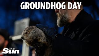 Groundhog Day Punxsutawney Phil predicts an early spring [upl. by Bore]