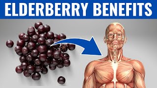 ELDERBERRY BENEFITS  13 Amazing Health Benefits of Elderberry❗️ [upl. by Enovaj]