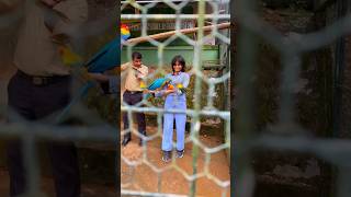 Bird feeding time at Hanthana International bird Park  Sri Lanka  travel to hanthana srilanka [upl. by Lemcke]